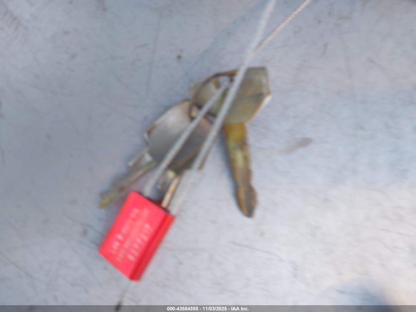 1995 Jeep Wrangler / Yj S/Rio Grande VIN: 1J4FY19P6SP298504 Lot: 43584355