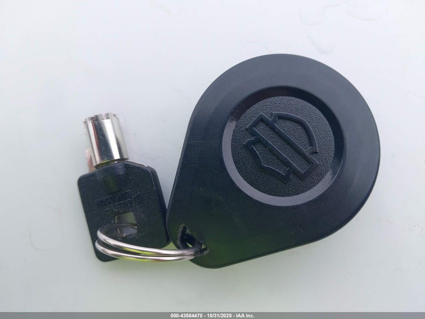 2023 Harley-Davidson Fltrxst VIN: 1HD1ACL10PB659085 Lot: 43584470