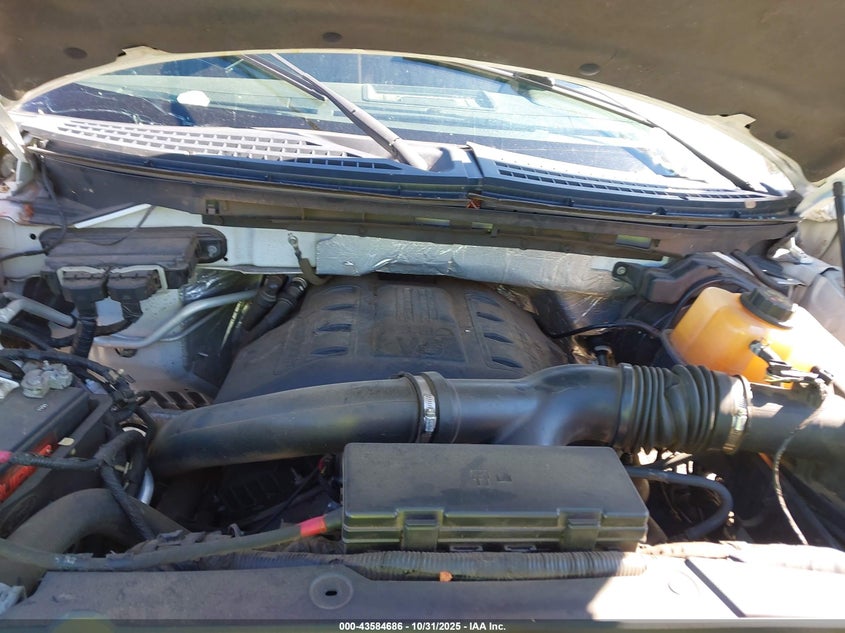 2014 Ford F-150 Fx4 VIN: 1FTFW1ET1EKG41056 Lot: 43584686