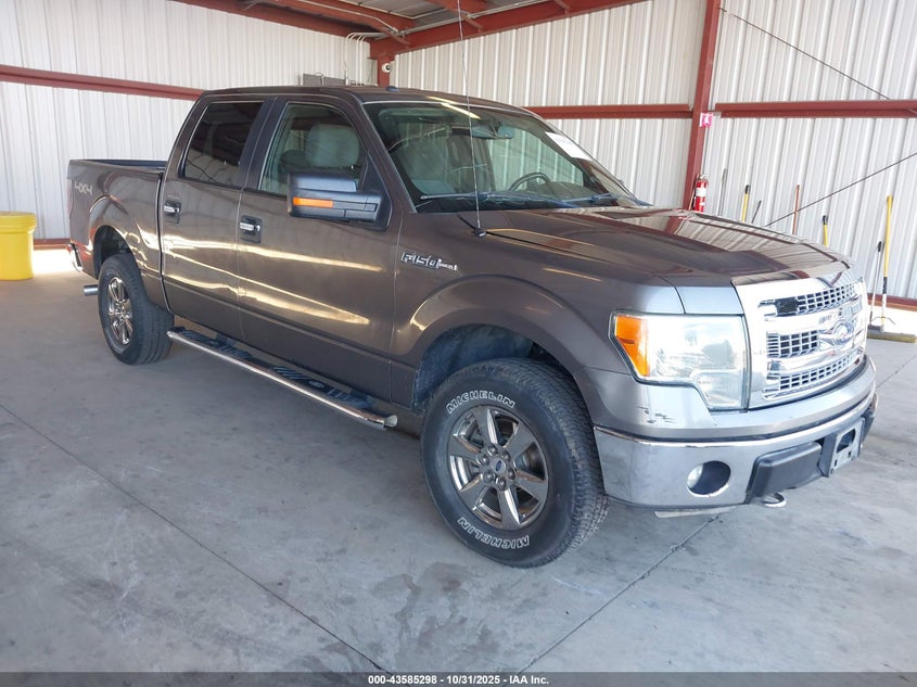 FORD F-150 XLT