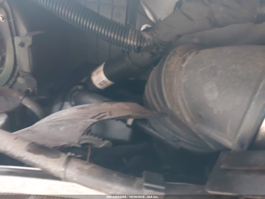 2020 Chevrolet Express Passenger Rwd 3500 Extended Wheelbase Ls VIN: 1GAZGNFP2L1255583 Lot: 43585456