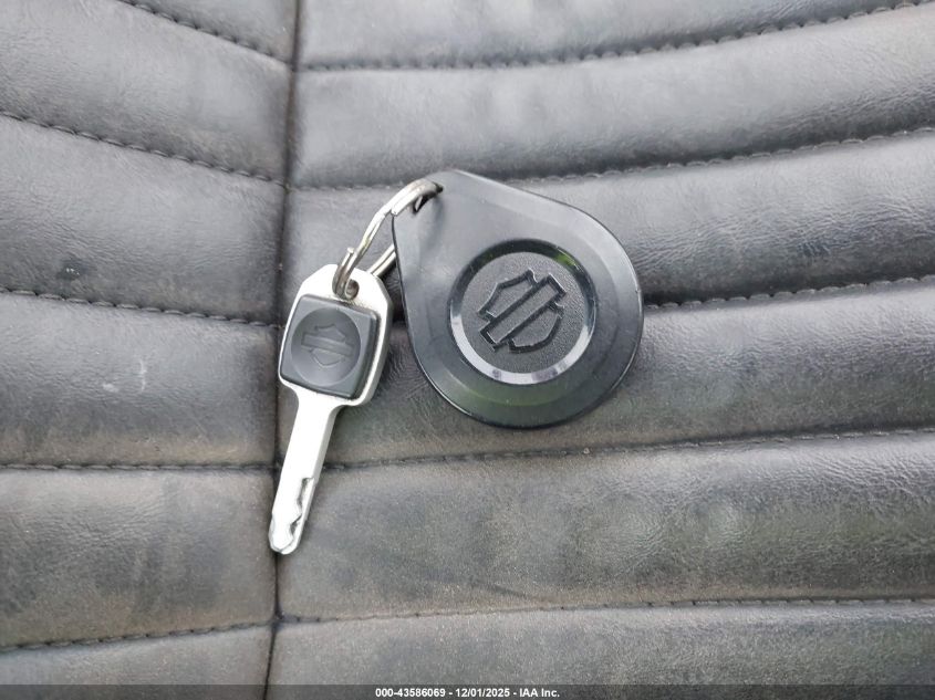 2023 Harley-Davidson Fxbbs VIN: 1HD1YYK15PB042498 Lot: 43586069