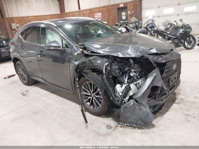 2025 LEXUS NX 350 PREMIUM - 2T2GGCEZ9SC081233