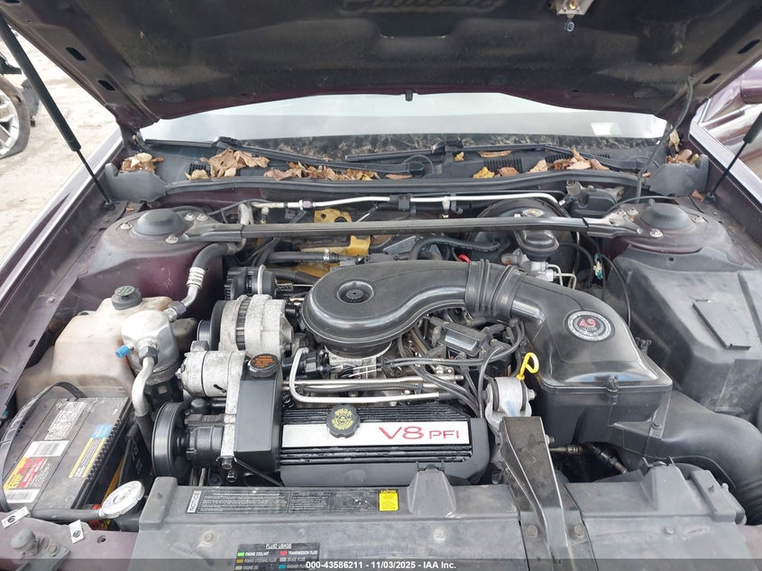 1995 Cadillac Deville VIN: 1G6KD52B8SU232420 Lot: 43586211