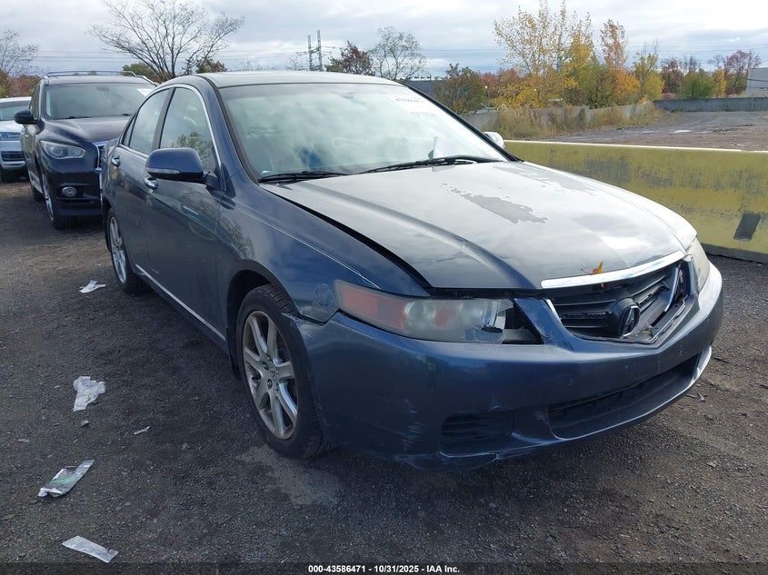 2005 Acura Tsx VIN: JH4CL96825C020325 Lot: 43586471