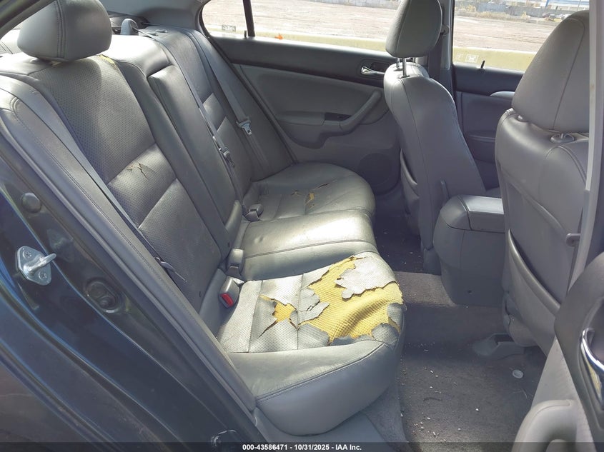 2005 Acura Tsx VIN: JH4CL96825C020325 Lot: 43586471