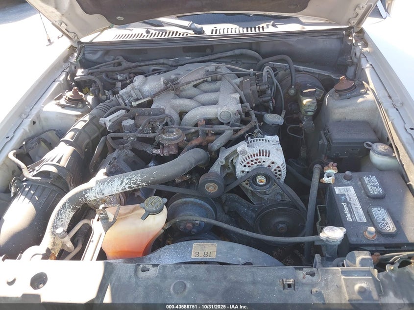 2000 Ford Mustang VIN: 1FAFP4440YF163529 Lot: 43586751