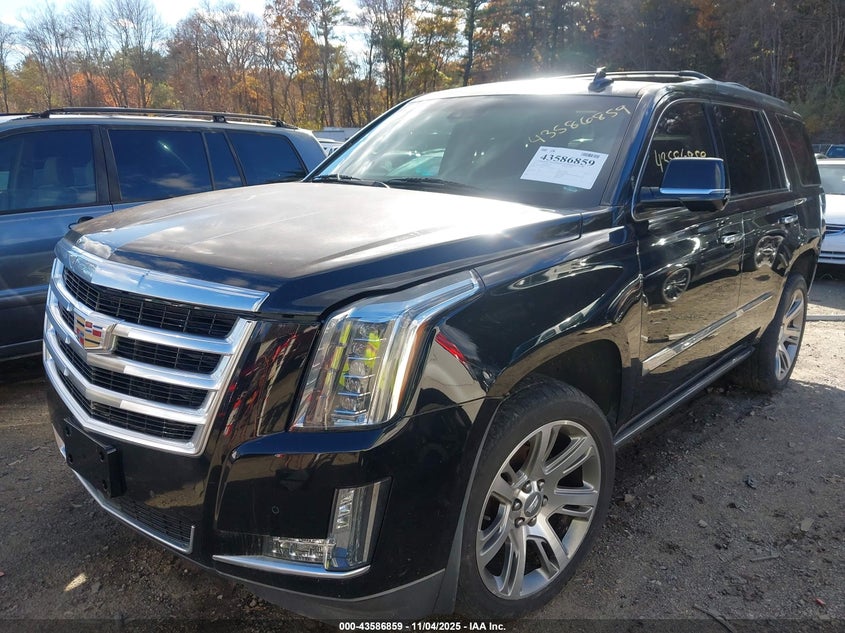2015 CADILLAC ESCALADE PREMIUM 1GYS4NKJ8FR633618