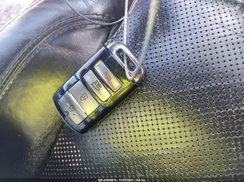 2014 Kia Cadenza Premium VIN: KNALN4D76E5154944 Lot: 43586910