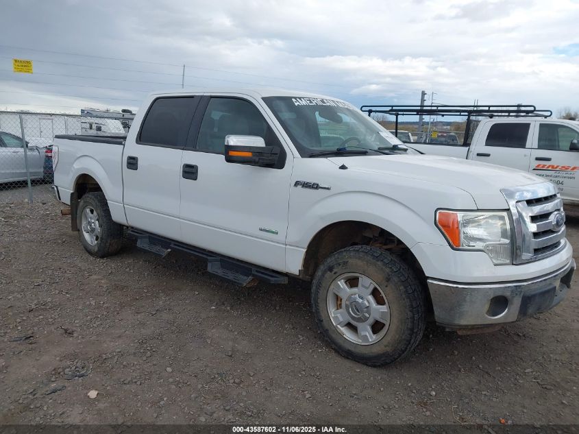 FORD F-150 XLT