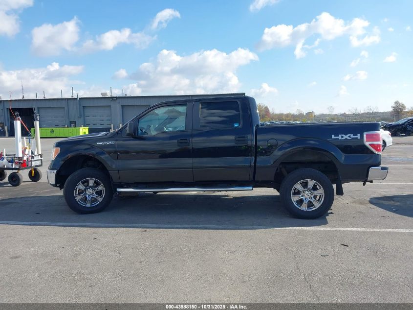 2009 Ford F-150 Xl/Xlt VIN: 1FTRW14829FA05495 Lot: 43588150