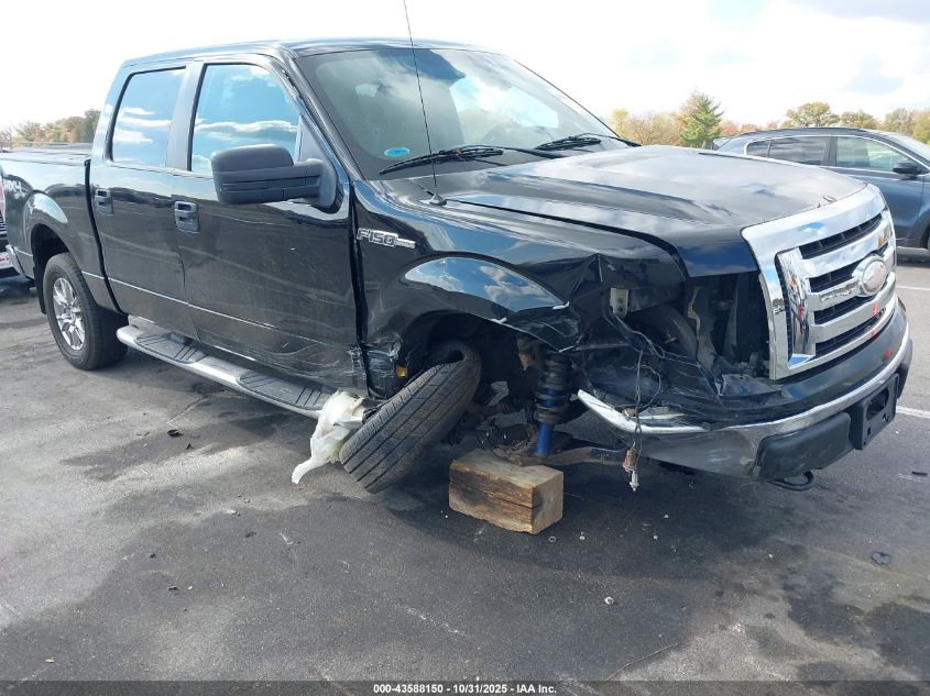 2009 Ford F-150 Xl/Xlt VIN: 1FTRW14829FA05495 Lot: 43588150