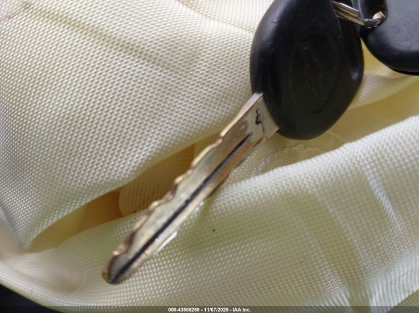 2004 Chevrolet Silverado 1500 Ls VIN: 2GCEC19VX41197755 Lot: 43588258