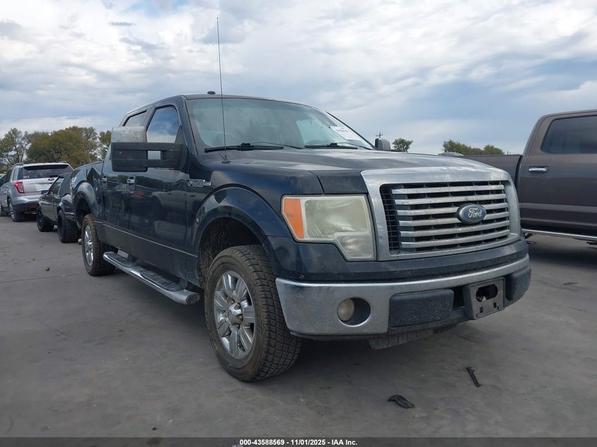 FORD F-150 XLT