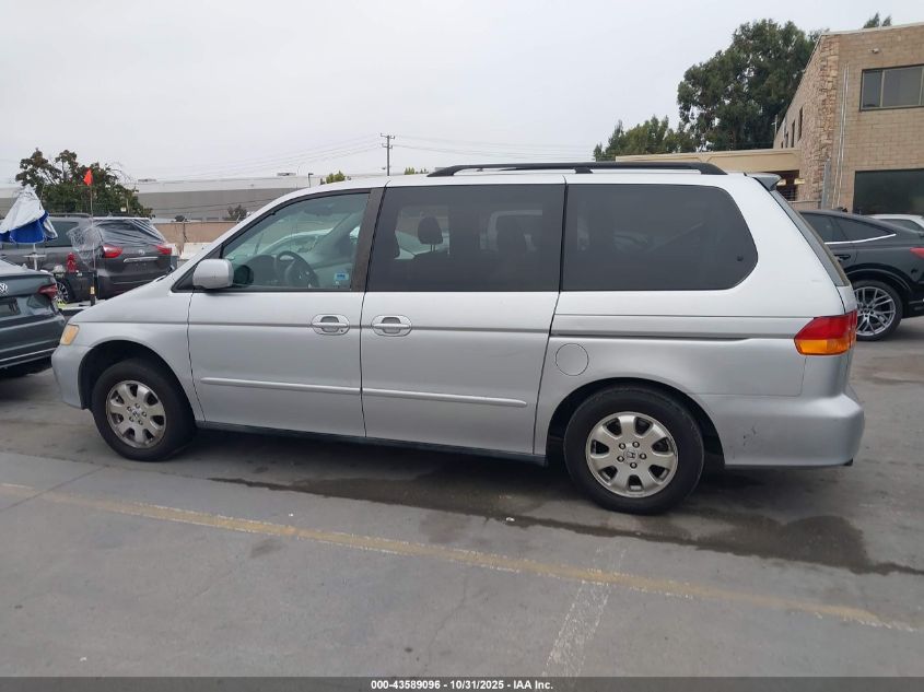 2003 Honda Odyssey Ex-L VIN: 5FNRL18763B156409 Lot: 43589096