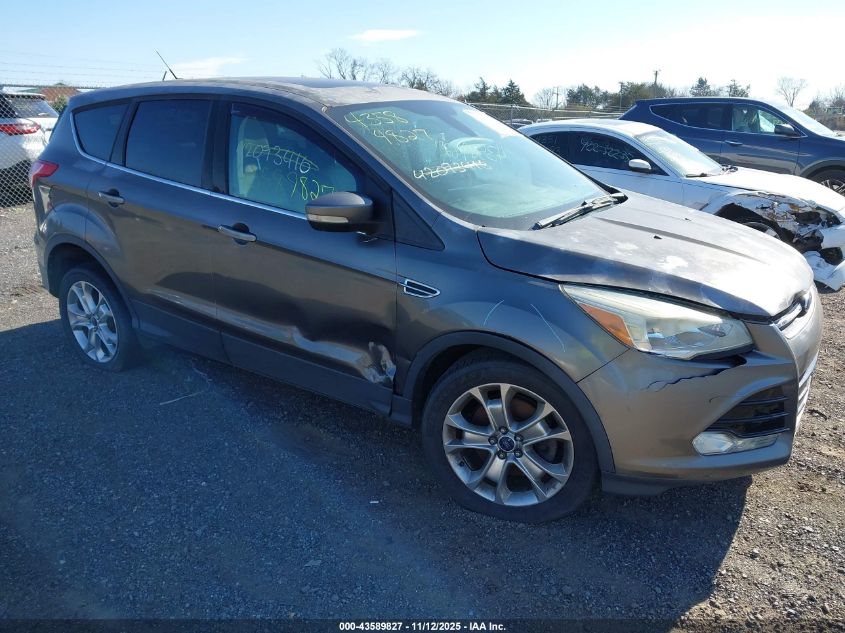 FORD ESCAPE SEL