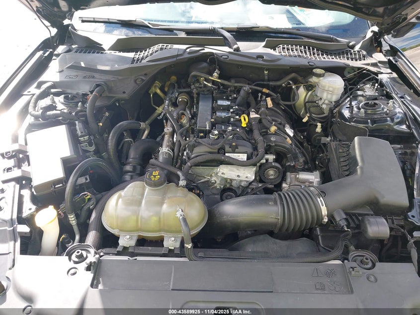 2019 FORD MUSTANG ECOBOOST - 1FA6P8TH5K5129028