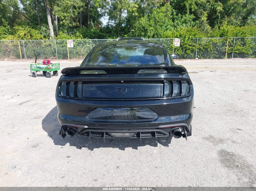 2019 FORD MUSTANG ECOBOOST - 1FA6P8TH5K5129028
