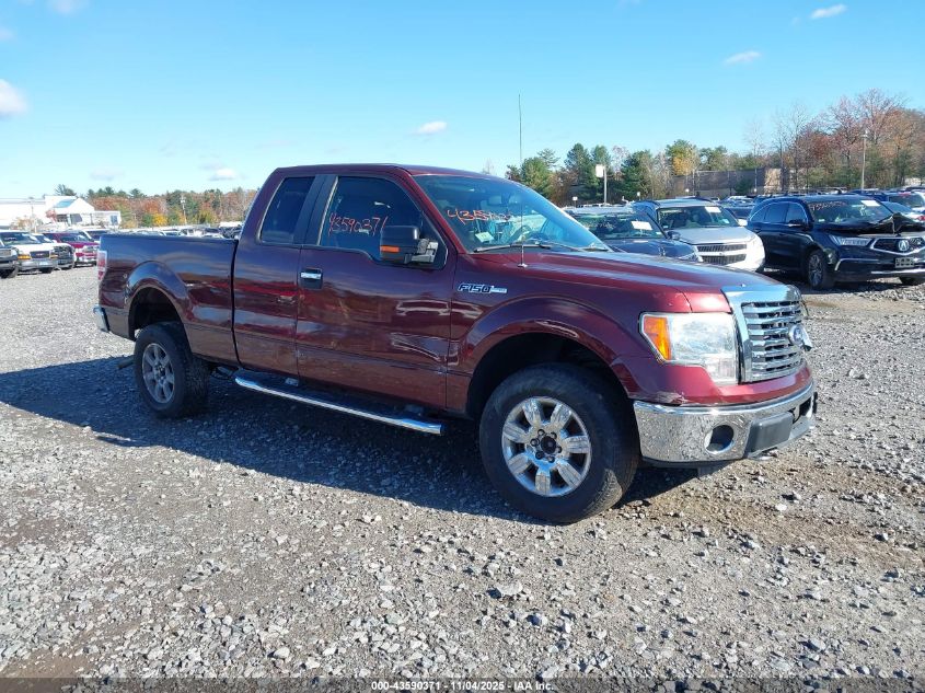 FORD F-150 FX4/LARIAT/XL/XLT