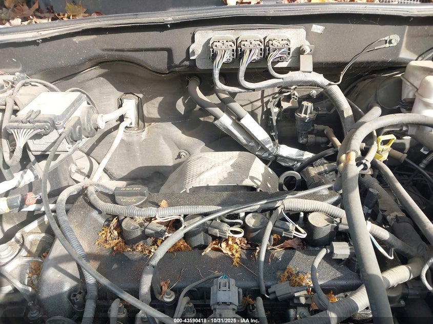 1FMCU02Z88KB59759 2008 FORD ESCAPE photo no. 6