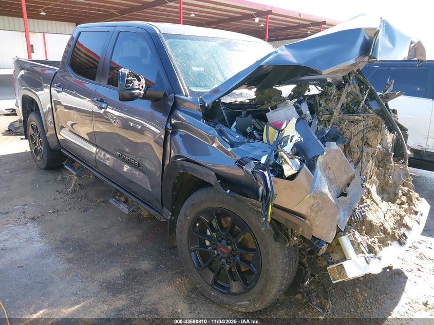 2024 TOYOTA TUNDRA SR5 - 5TFLA5DB4RX188495