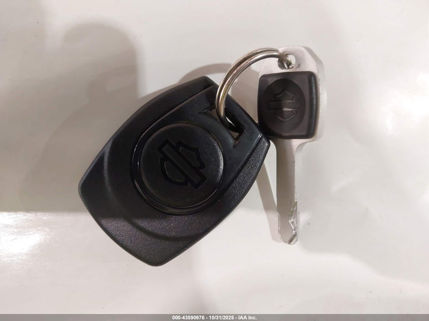 2025 Harley-Davidson Fxlrst VIN: 1HD1YXA13SB034453 Lot: 43590976