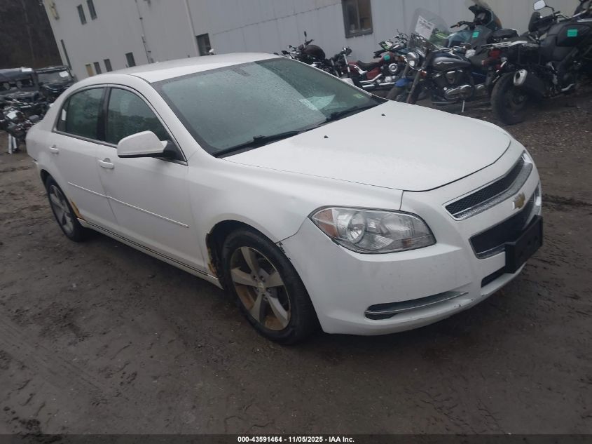CHEVROLET MALIBU 1LT
