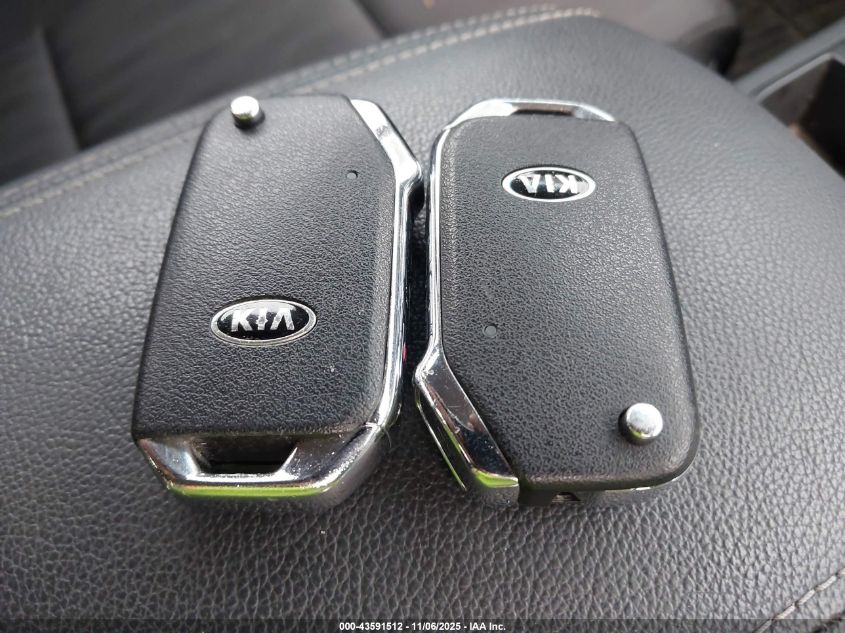 2022 Kia Sportage Lx VIN: KNDPM3AC7N7012349 Lot: 43591512