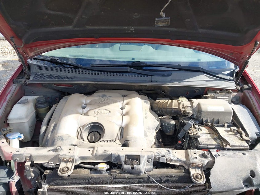 2006 Kia Sedona Ex/Lx VIN: KNDMB233966099873 Lot: 43591630