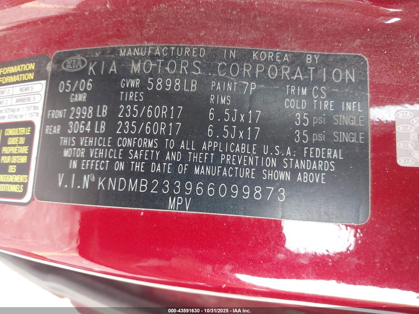 2006 Kia Sedona Ex/Lx VIN: KNDMB233966099873 Lot: 43591630