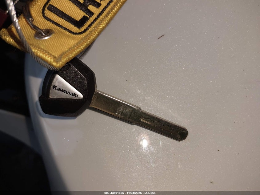 2024 Kawasaki Zx636 K VIN: JKBZXJK16RA002461 Lot: 43591665