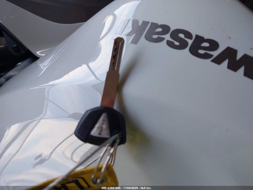 2024 Kawasaki Zx636 K VIN: JKBZXJK16RA002461 Lot: 43591665