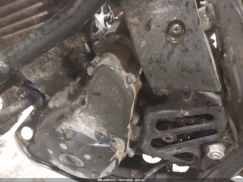 2015 Kawasaki Kl650 E VIN: JKAKLEE17FDA83343 Lot: 43591717