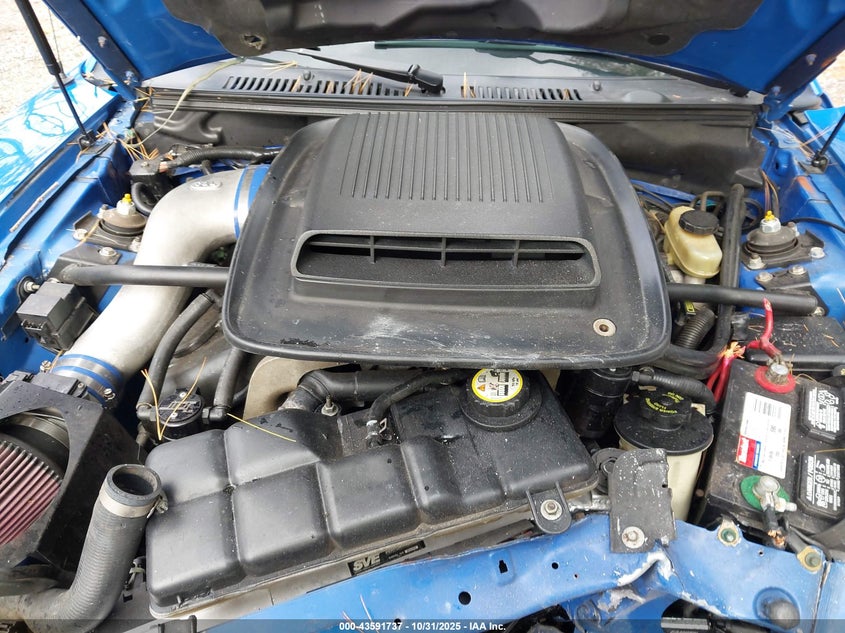 2003 Ford Mustang Mach 1 VIN: 1FAFP42R23F424618 Lot: 43591737