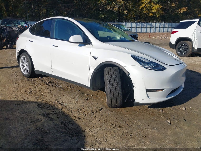 TESLA MODEL Y STANDARD RANGE REAR-WHEEL DRIVE
