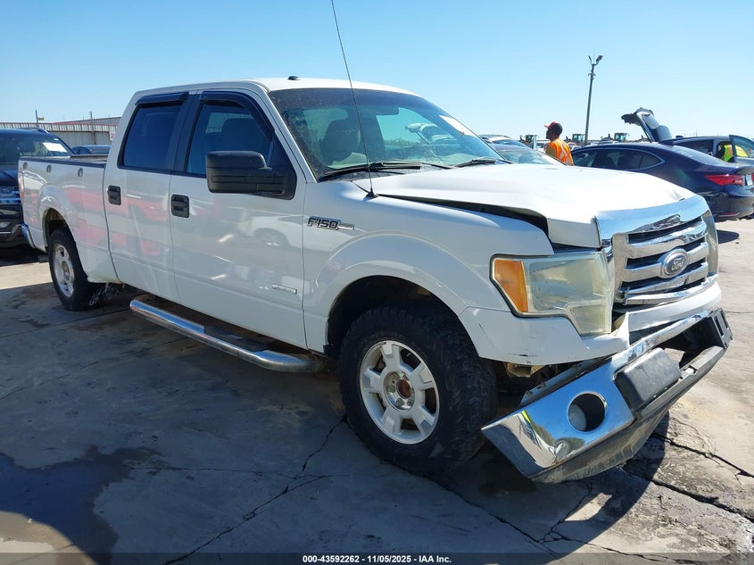 FORD F-150 XLT