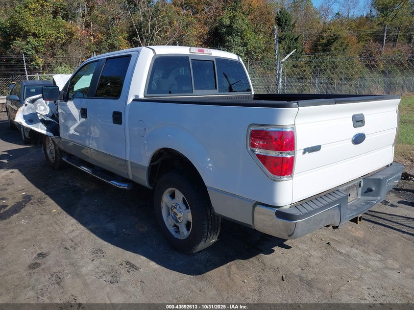 1FTRW12859FB11961 2009 FORD F-150 photo no. 3