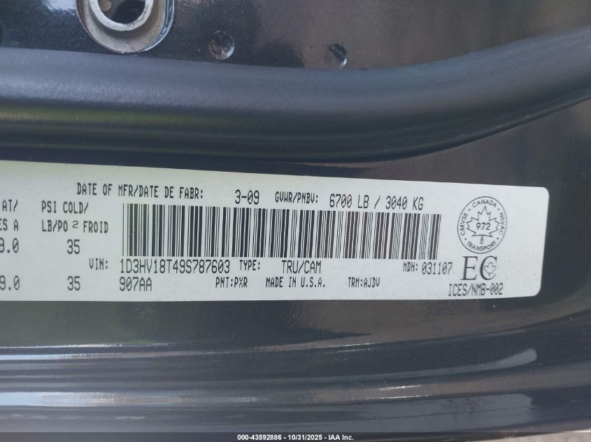 2009 Dodge Ram 1500 Slt/Sport VIN: 1D3HV18T49S787603 Lot: 43592886