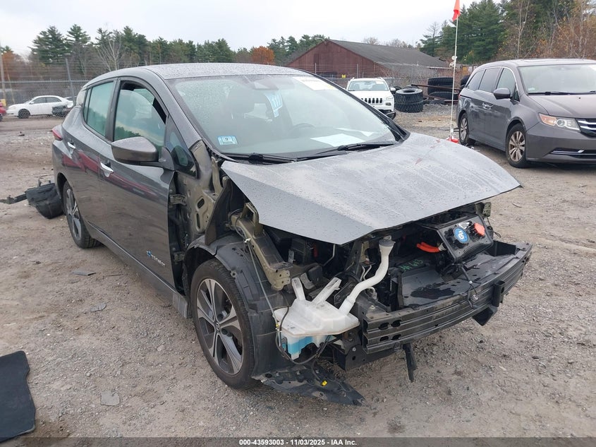 2019 Nissan Leaf Sv Plus VIN: 1N4BZ1CP3KC312334 Lot: 43593003