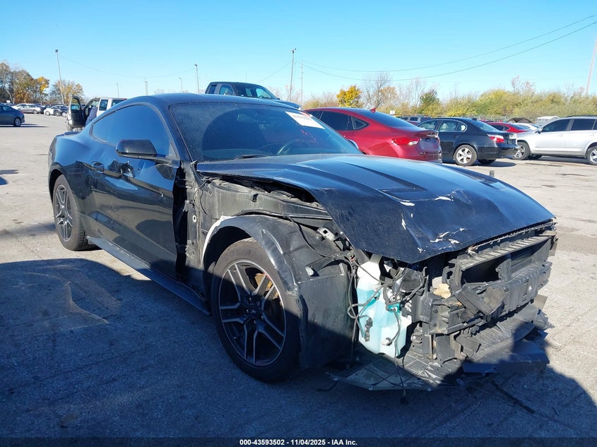 2019 FORD MUSTANG ECOBOOST - 1FA6P8TH1K5108791