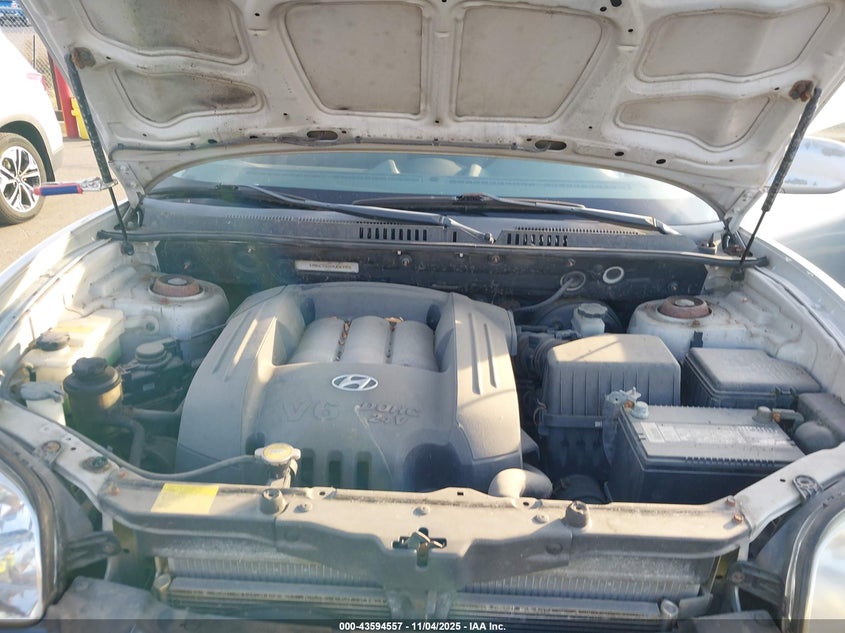 2004 Hyundai Santa Fe Gls VIN: KM8SC73DX4U683956 Lot: 43594557