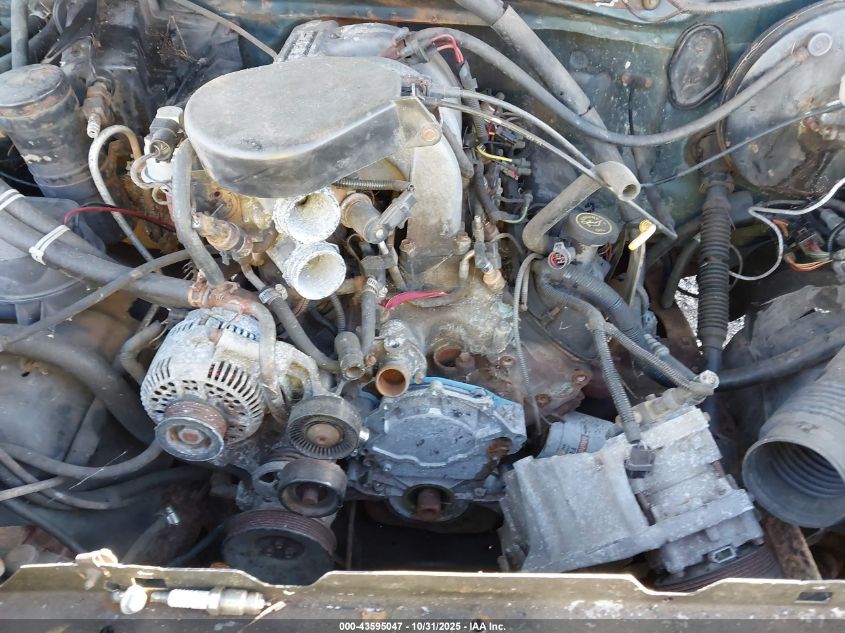 1994 Ford F150 VIN: 1FTEX14N4RKA90042 Lot: 43595047