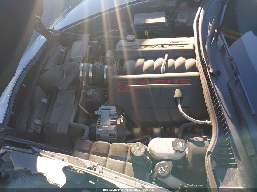 2005 Chevrolet Corvette VIN: 1G1YY24U555122571 Lot: 43595112