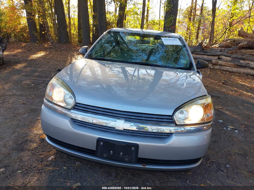 2005 Chevrolet Malibu Ls VIN: 1G1ZT54825F127695 Lot: 43595285