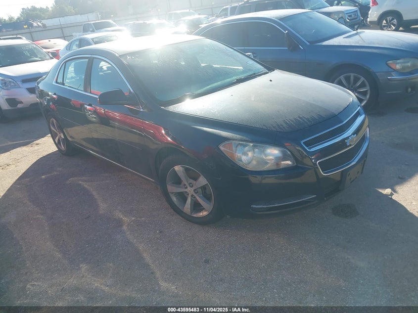 CHEVROLET MALIBU 1LT