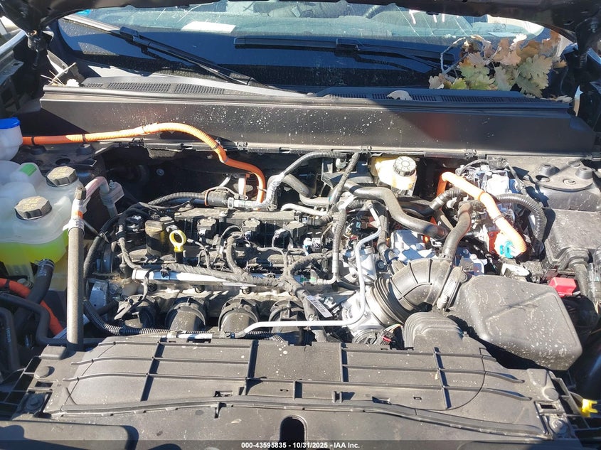 2025 Ford Maverick Xlt VIN: 3FTTW8J32SRB11350 Lot: 43595835