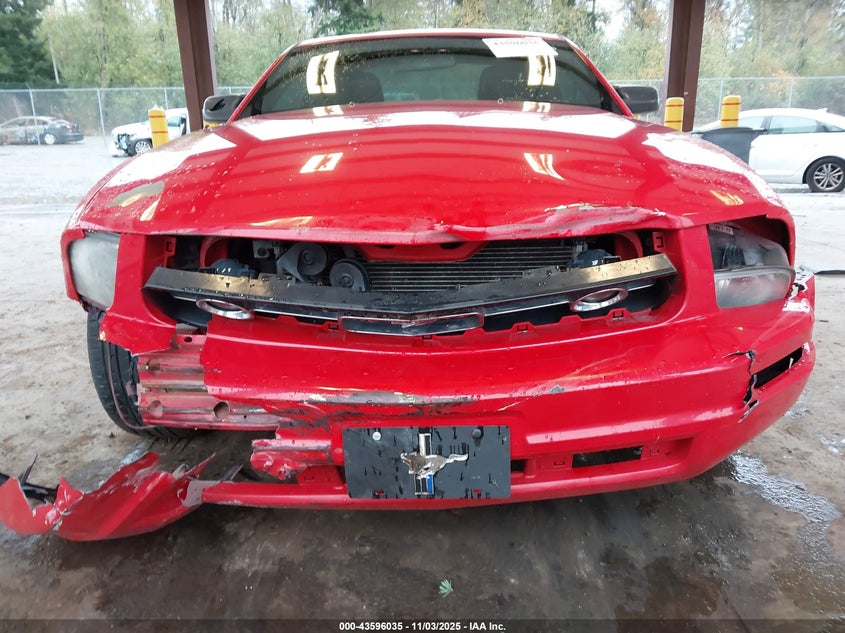 2007 Ford Mustang V6 Deluxe/V6 Premium VIN: 1ZVFT80N975305101 Lot: 43596035