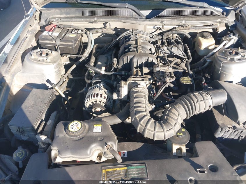 2008 Ford Mustang V6 Deluxe/V6 Premium VIN: 1ZVHT80N685162098 Lot: 43596118