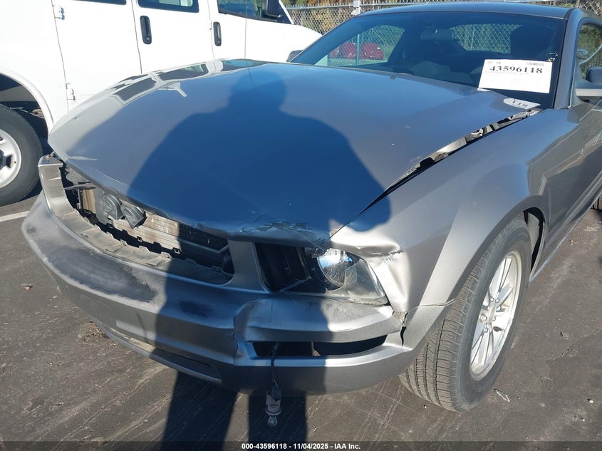 2008 Ford Mustang V6 Deluxe/V6 Premium VIN: 1ZVHT80N685162098 Lot: 43596118