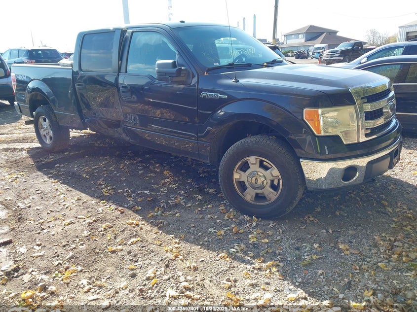 FORD F-150 XLT